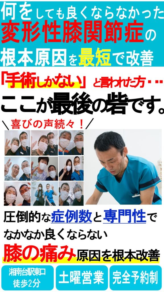 膝ページLP - 湘南台で痛みにお悩みなら根本改善をめざす整体院リバレイトへ